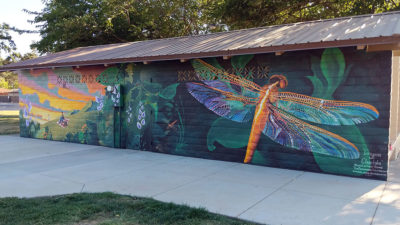 Dragons over Clearlake - Austin Park, Clearlake, CA