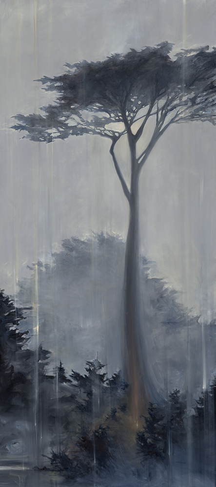 Rainy Day in the Heart of the World